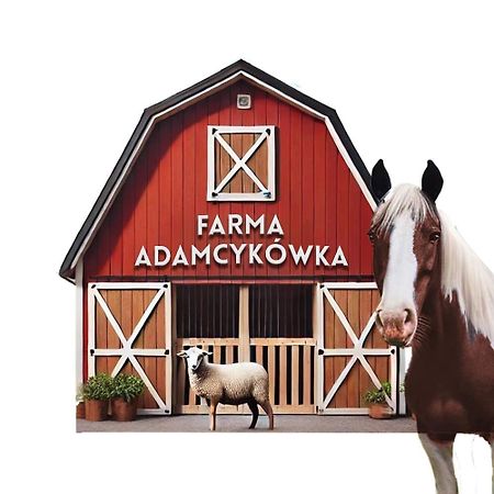 Apartamenty Adamcykowka Blisko Velo Czorsztyn! Клушковце Екстериор снимка