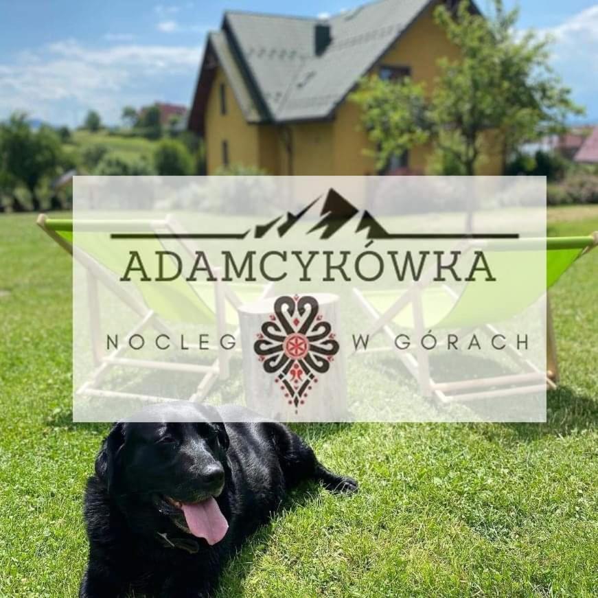 Apartamenty Adamcykowka Blisko Velo Czorsztyn! Клушковце Екстериор снимка