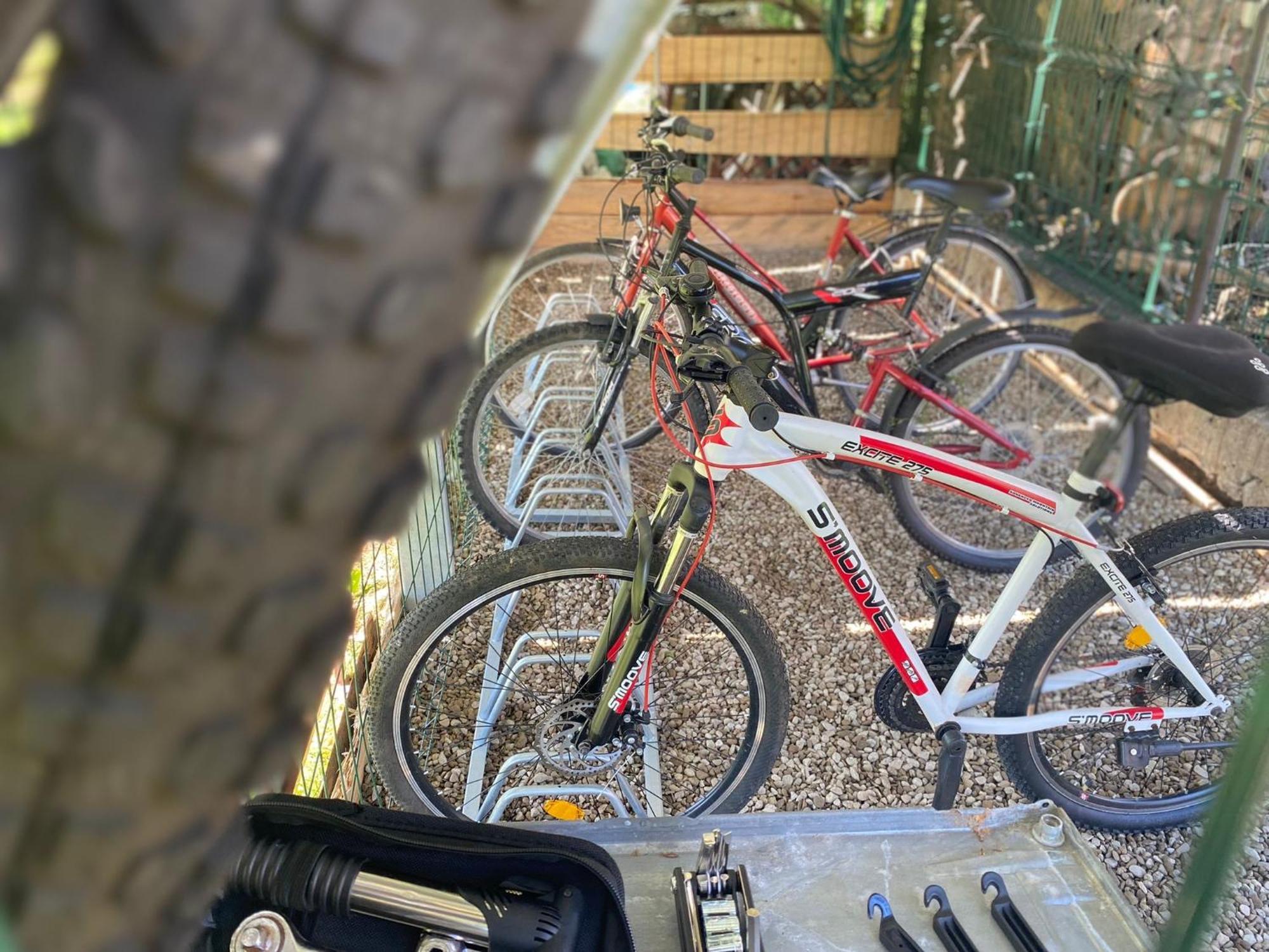Apartamenty Adamcykowka Blisko Velo Czorsztyn! Клушковце Екстериор снимка