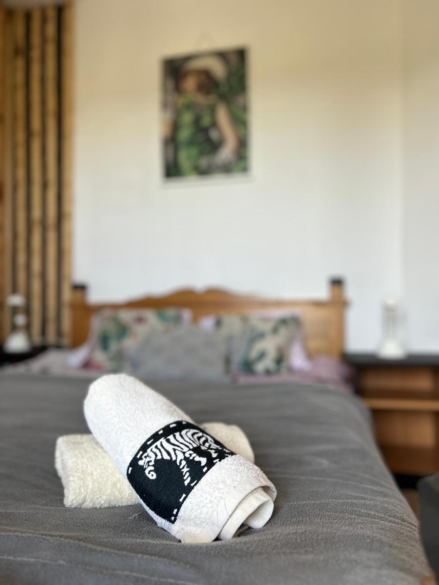 Apartamenty Adamcykowka Blisko Velo Czorsztyn! Клушковце Екстериор снимка