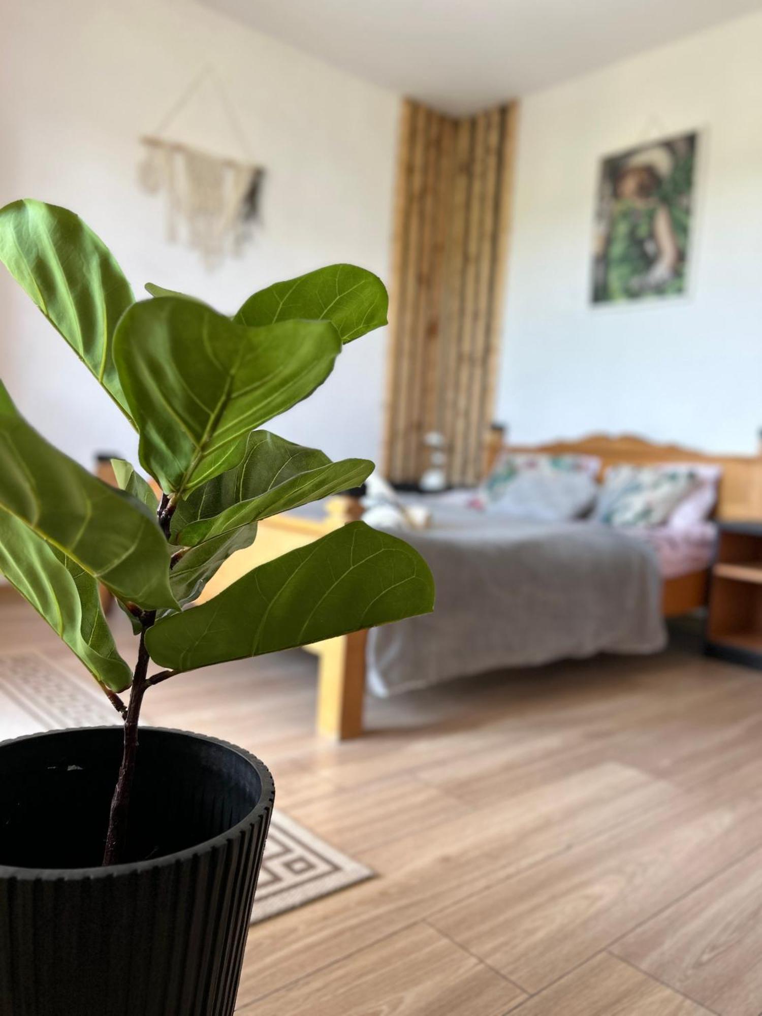 Apartamenty Adamcykowka Blisko Velo Czorsztyn! Клушковце Екстериор снимка