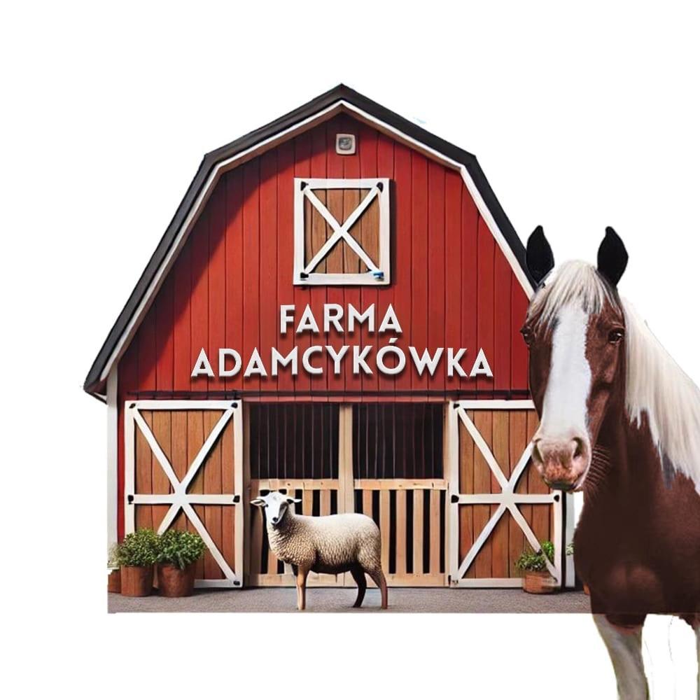 Apartamenty Adamcykowka Blisko Velo Czorsztyn! Клушковце Екстериор снимка